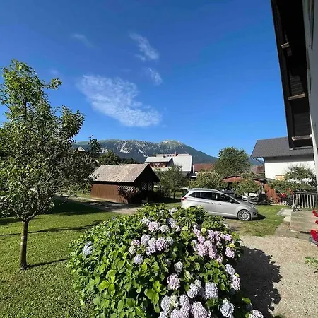 Tiny House Tatil Evi Bled