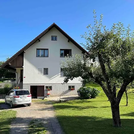 Tiny House Semesterbostad Bled