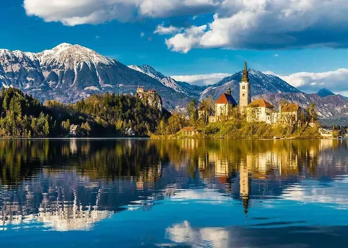 Hébergement de vacances Tiny House Bled